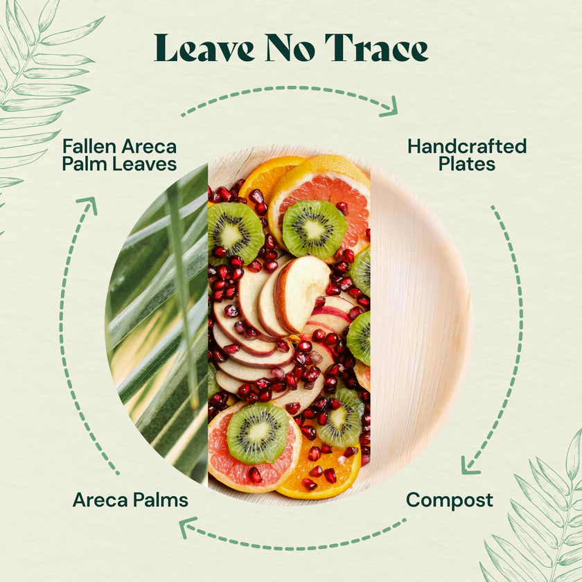 8 inch Square Plates (20 pack)