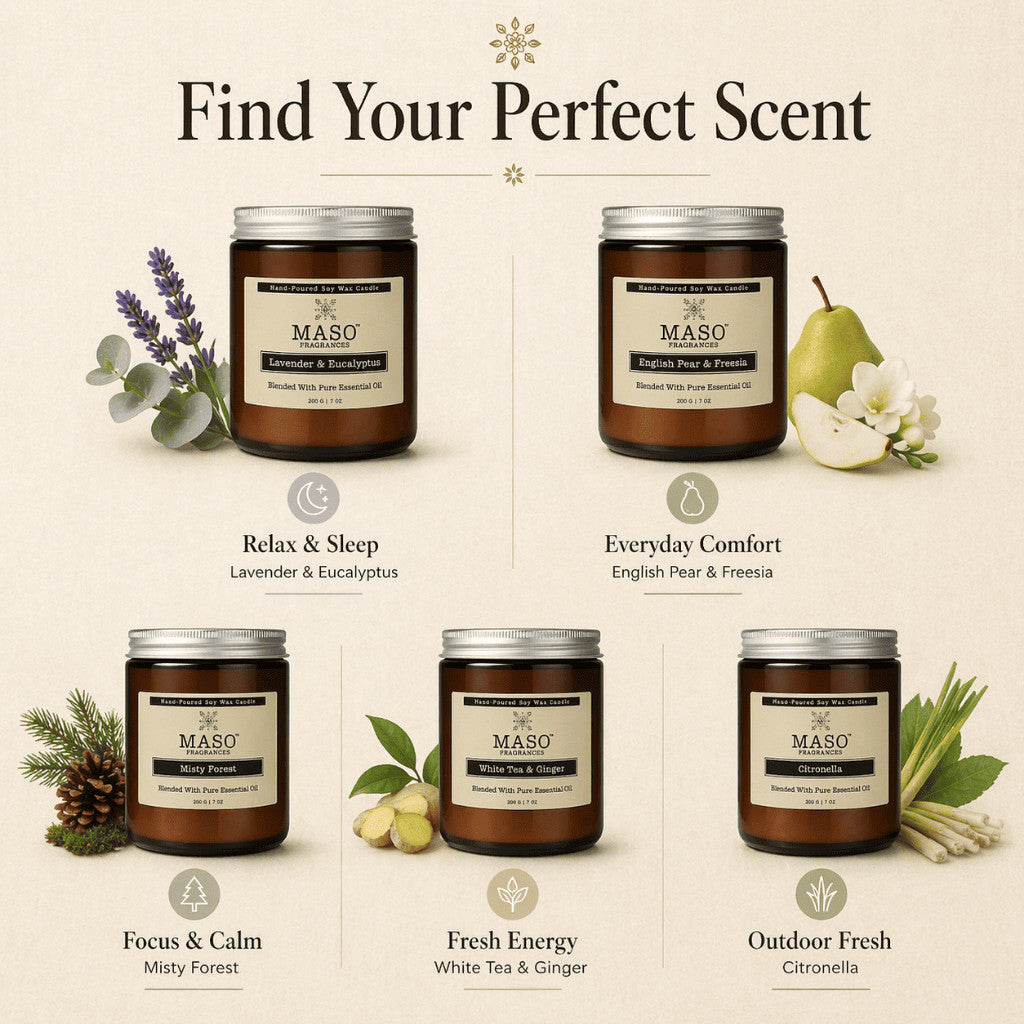 Maso scented soy candle for home fragrance - Misty Forest
